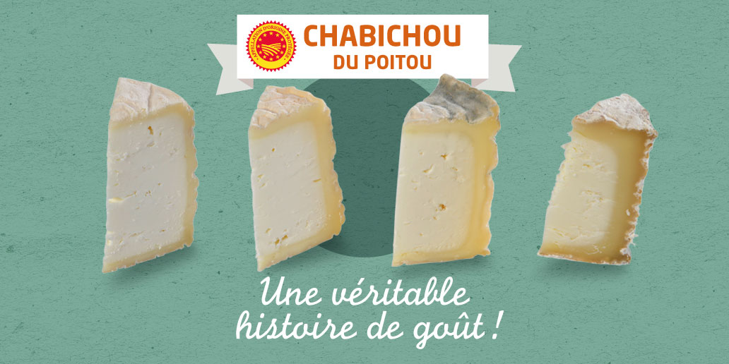 vu-04-chabichou-du-poitou-une-histoire-de-gout